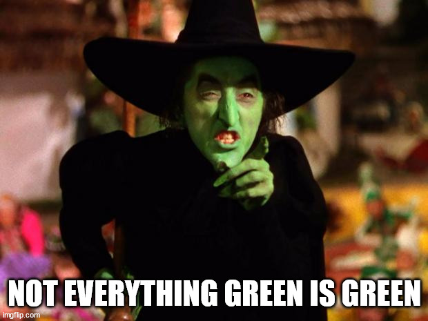 wicked witch  | NOT EVERYTHING GREEN IS GREEN | image tagged in wicked witch | made w/ Imgflip meme maker