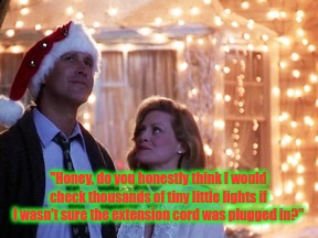 Christmas Vacation lights | "Honey, do you honestly think I would check thousands of tiny little lights if I wasn't sure the extension cord was plugged in?" | image tagged in christmas vacation | made w/ Imgflip meme maker