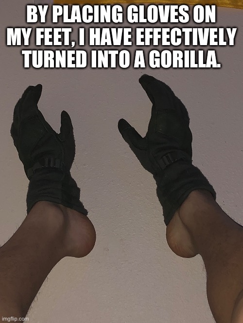 *gorilla noises* | BY PLACING GLOVES ON MY FEET, I HAVE EFFECTIVELY TURNED INTO A GORILLA. | image tagged in gorilla,memes | made w/ Imgflip meme maker