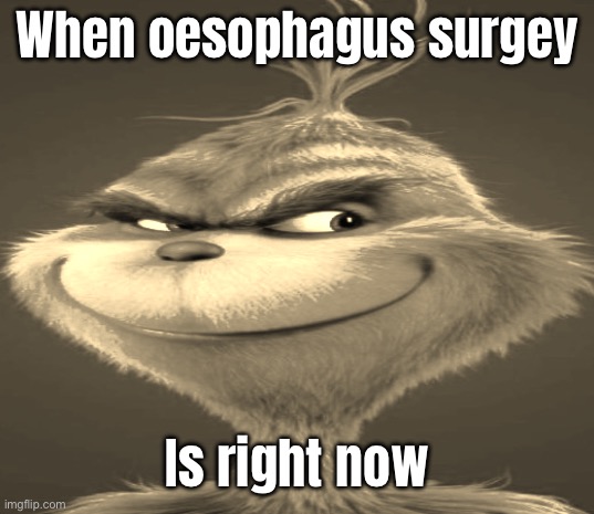 Blue Grinch | When oesophagus surgey; Is right now | image tagged in blue grinch | made w/ Imgflip meme maker