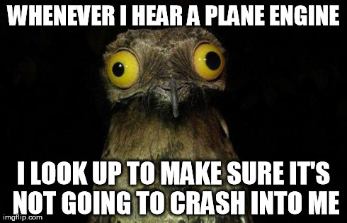 Weird Stuff I Do Potoo | WHENEVER I HEAR A PLANE ENGINE I LOOK UP TO MAKE SURE IT'S NOT GOING TO CRASH INTO ME | image tagged in memes,weird stuff i do potoo,AdviceAnimals | made w/ Imgflip meme maker