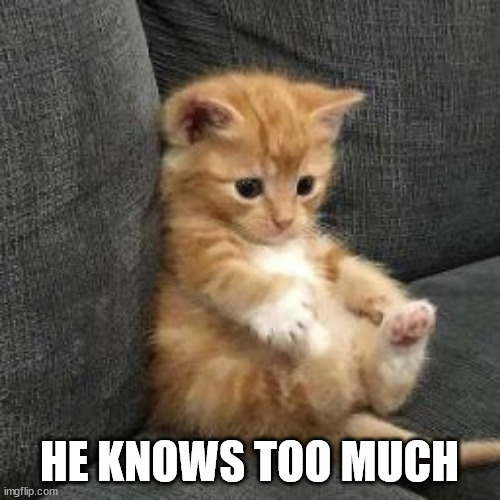 I don't know sad cat in shock meme. | HE KNOWS TOO MUCH | image tagged in i don't know sad cat in shock meme | made w/ Imgflip meme maker