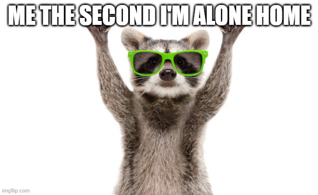 Party | ME THE SECOND I'M ALONE HOME | image tagged in party raccoon | made w/ Imgflip meme maker