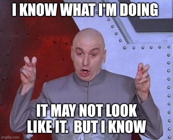 Know what I'm doing | I KNOW WHAT I'M DOING; IT MAY NOT LOOK LIKE IT.  BUT I KNOW | image tagged in memes,dr evil laser,funny memes | made w/ Imgflip meme maker