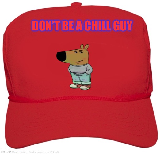 Chill guy hat | DON’T BE A CHILL GUY | image tagged in blank red maga hat,chill guy | made w/ Imgflip meme maker