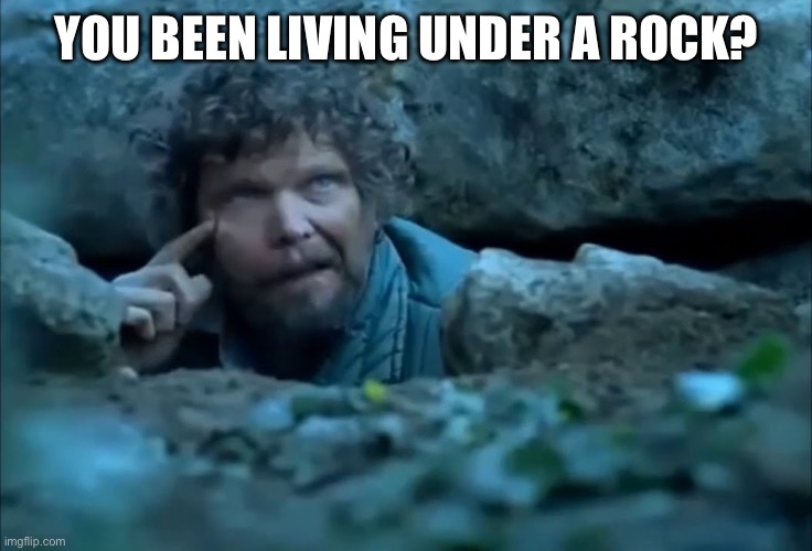 Living Under a Rock | YOU BEEN LIVING UNDER A ROCK? | image tagged in living under a rock | made w/ Imgflip meme maker