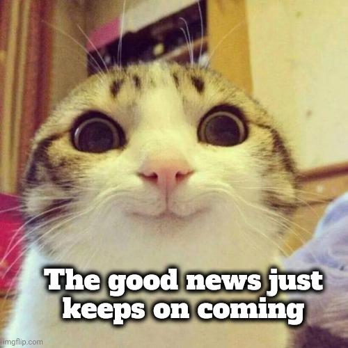 Smiling Cat Meme | The good news just
 keeps on coming | image tagged in memes,smiling cat | made w/ Imgflip meme maker