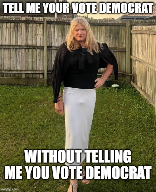 How Do You Vote? | TELL ME YOUR VOTE DEMOCRAT; WITHOUT TELLING ME YOU VOTE DEMOCRAT | image tagged in politics | made w/ Imgflip meme maker