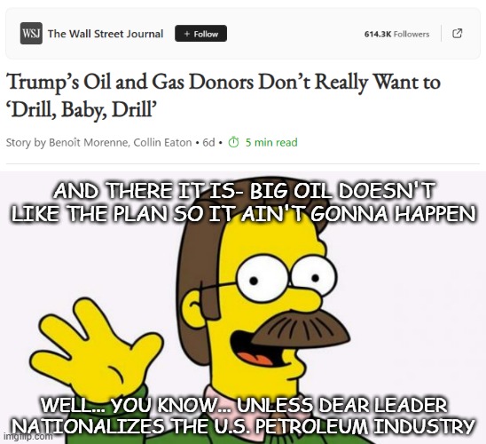 Oopsie-doodle | AND THERE IT IS- BIG OIL DOESN'T LIKE THE PLAN SO IT AIN'T GONNA HAPPEN; WELL... YOU KNOW... UNLESS DEAR LEADER NATIONALIZES THE U.S. PETROLEUM INDUSTRY | image tagged in ned flanders,big oil,venezuela | made w/ Imgflip meme maker