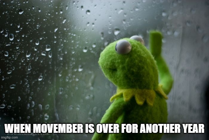 Movember is over | WHEN MOVEMBER IS OVER FOR ANOTHER YEAR | image tagged in kermit window,movember,fundraiser | made w/ Imgflip meme maker