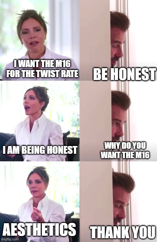 Victoria David Beckham Be Honest | I WANT THE M16 FOR THE TWIST RATE; BE HONEST; I AM BEING HONEST; WHY DO YOU WANT THE M16; AESTHETICS; THANK YOU | image tagged in victoria david beckham be honest | made w/ Imgflip meme maker