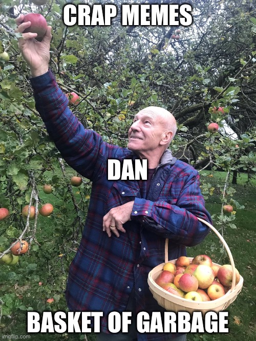 Dan crap memes | CRAP MEMES; DAN; BASKET OF GARBAGE | image tagged in patrick stewart picking apples | made w/ Imgflip meme maker