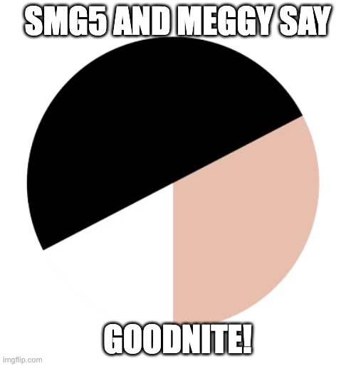 SMG5 spindash (nothing except his tighty whities!) | SMG5 AND MEGGY SAY GOODNITE! | image tagged in smg5 spindash nothing except his tighty whities | made w/ Imgflip meme maker