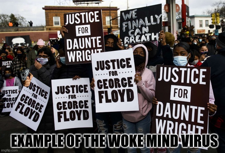 BLM meme | EXAMPLE OF THE WOKE MIND VIRUS | image tagged in memes,blm,woke | made w/ Imgflip meme maker