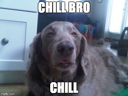 High Dog Meme | CHILL BRO CHILL | image tagged in memes,high dog | made w/ Imgflip meme maker