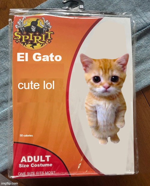 Spirit Halloween | El Gato; cute lol; 50 calories | image tagged in spirit halloween | made w/ Imgflip meme maker