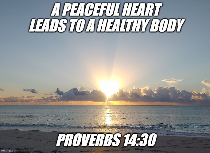 A Peacful heart | A PEACEFUL HEART LEADS TO A HEALTHY BODY; PROVERBS 14:30 | image tagged in peace,love,health | made w/ Imgflip meme maker