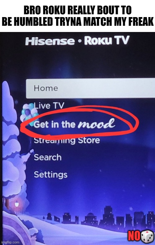 BRO ROKU REALLY BOUT TO BE HUMBLED TRYNA MATCH MY FREAK; NO🎲 | image tagged in funny | made w/ Imgflip meme maker