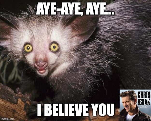 Trusting the Aye-Aye like Chris Isaak | AYE-AYE, AYE... I BELIEVE YOU | image tagged in funny,memes,aye-aye,chris isaak | made w/ Imgflip meme maker