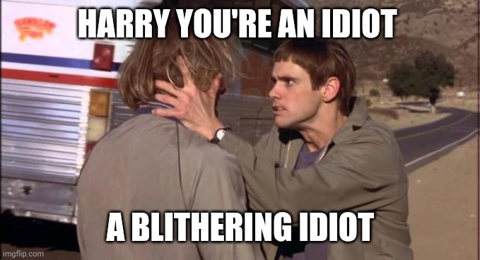 Idiot | HARRY YOU'RE AN IDIOT; A BLITHERING IDIOT | image tagged in dumb and dumber,funny memes | made w/ Imgflip meme maker