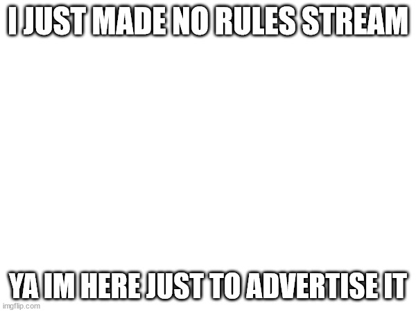 I JUST MADE NO RULES STREAM; YA IM HERE JUST TO ADVERTISE IT | image tagged in tag | made w/ Imgflip meme maker