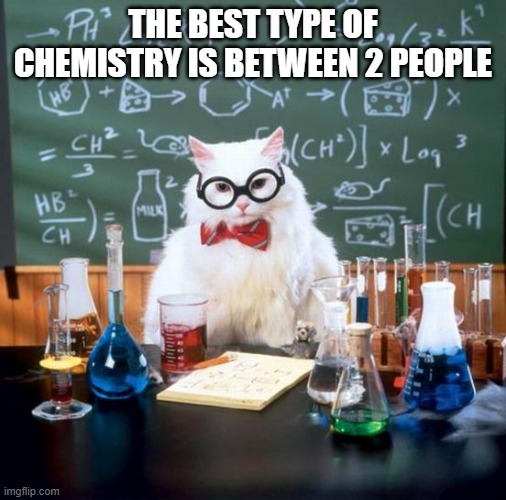 this is cute | THE BEST TYPE OF CHEMISTRY IS BETWEEN 2 PEOPLE | image tagged in memes,chemistry cat | made w/ Imgflip meme maker