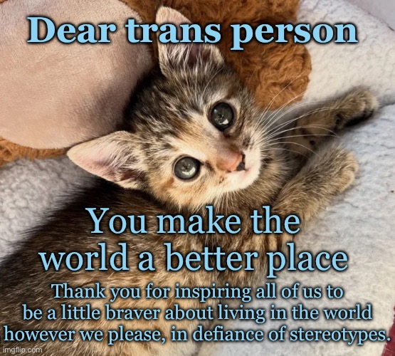 Undying adoration kitten loves trans people | Dear trans person; You make the world a better place; Thank you for inspiring all of us to be a little braver about living in the world however we please, in defiance of stereotypes. | image tagged in undying adoration kitten | made w/ Imgflip meme maker