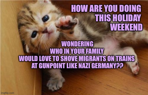 Help me kitten worries about Nazis in her family | HOW ARE YOU DOING 
THIS HOLIDAY 
WEEKEND; WONDERING 
WHO IN YOUR FAMILY 
WOULD LOVE TO SHOVE MIGRANTS ON TRAINS 
AT GUNPOINT LIKE NAZI GERMANY?? | image tagged in help me kitten | made w/ Imgflip meme maker