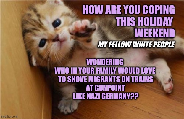 Help me kitten has Trump supporters in her family | HOW ARE YOU COPING
 THIS HOLIDAY 
WEEKEND; MY FELLOW WHITE PEOPLE; WONDERING 
WHO IN YOUR FAMILY WOULD LOVE
 TO SHOVE MIGRANTS ON TRAINS
 AT GUNPOINT
 LIKE NAZI GERMANY?? | image tagged in help me kitten | made w/ Imgflip meme maker