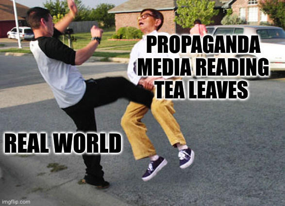 Kick in balls | REAL WORLD PROPAGANDA MEDIA READING TEA LEAVES | image tagged in kick in balls | made w/ Imgflip meme maker