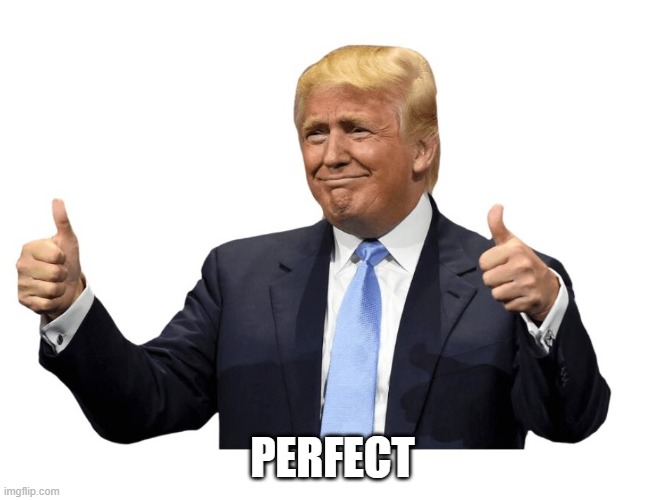 Trump Perfect | PERFECT | image tagged in trump | made w/ Imgflip meme maker