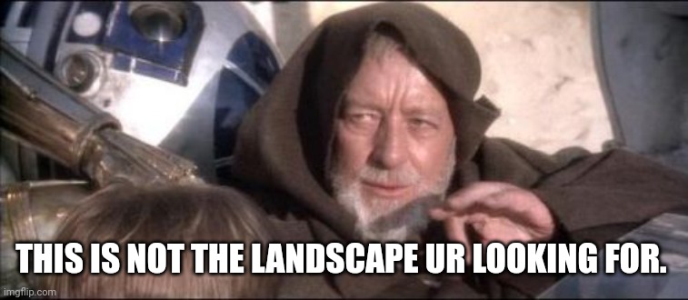 These Aren't The Droids You Were Looking For Meme | THIS IS NOT THE LANDSCAPE UR LOOKING FOR. | image tagged in memes,these aren't the droids you were looking for | made w/ Imgflip meme maker