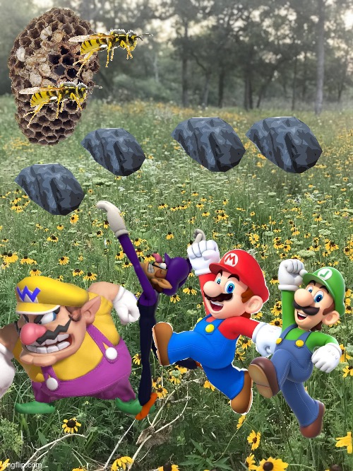 Wario and Friends dies by Wario and Waluigi accidentally throwing rocks at a wasp nest during a rock throwing contest | image tagged in field of flowers,wario dies,wario,waluigi,super mario bros | made w/ Imgflip meme maker