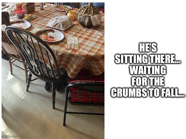 Crumbs collected: 0/100 | HE’S SITTING THERE… WAITING FOR THE CRUMBS TO FALL… | image tagged in thanksgiving,dogs,food,funny,meme,fun | made w/ Imgflip meme maker