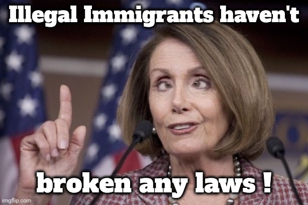 Nancy pelosi | Illegal Immigrants haven't broken any laws ! | image tagged in nancy pelosi | made w/ Imgflip meme maker