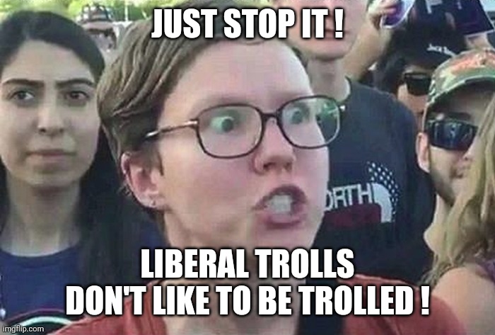 Triggered Liberal | JUST STOP IT ! LIBERAL TROLLS DON'T LIKE TO BE TROLLED ! | image tagged in triggered liberal | made w/ Imgflip meme maker