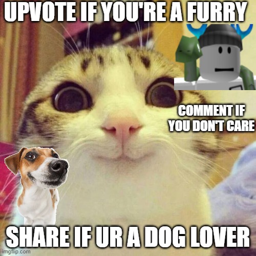 haha | UPVOTE IF YOU'RE A FURRY; COMMENT IF YOU DON'T CARE; SHARE IF UR A DOG LOVER | image tagged in memes,smiling cat,dog,legos,repost | made w/ Imgflip meme maker