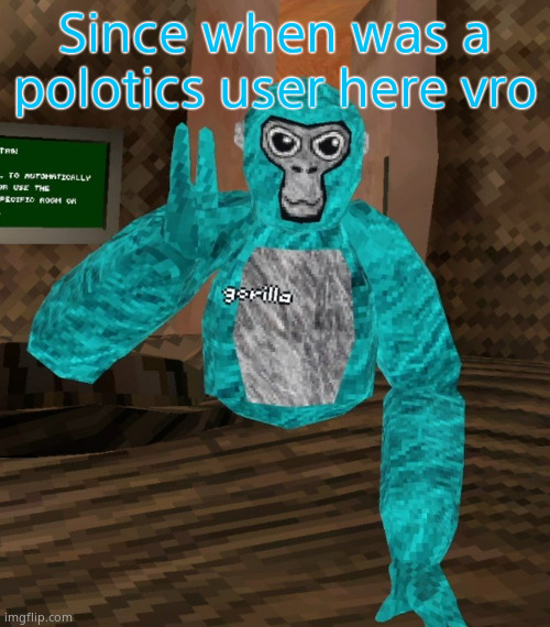 Monkey | Since when was a polotics user here vro | image tagged in monkey | made w/ Imgflip meme maker