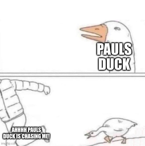 ahhhhhhhhhhhhhhhhhhh | PAULS DUCK; AHHHH PAULS DUCK IS CHASING ME! | image tagged in goose chase | made w/ Imgflip meme maker