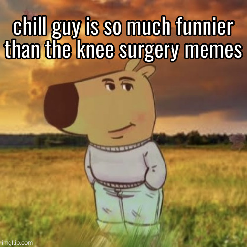 Chill guy | chill guy is so much funnier than the knee surgery memes | image tagged in chill guy | made w/ Imgflip meme maker