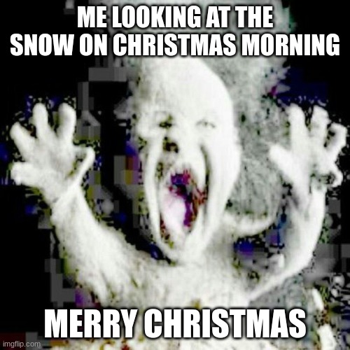 have a Merry Christmas and a jolly good year | ME LOOKING AT THE SNOW ON CHRISTMAS MORNING; MERRY CHRISTMAS | image tagged in merry christmas,relatable memes | made w/ Imgflip meme maker