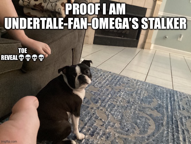 PROOF I AM UNDERTALE-FAN-OMEGA’S STALKER; TOE REVEAL💀💀💀💀 | image tagged in two buttons | made w/ Imgflip meme maker