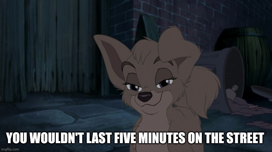 You Wouldn't Last Five Minutes On The Street | YOU WOULDN'T LAST FIVE MINUTES ON THE STREET | image tagged in lady and the tramp 2 angel,alyssa milano,disney dogs,disney,dogs | made w/ Imgflip meme maker