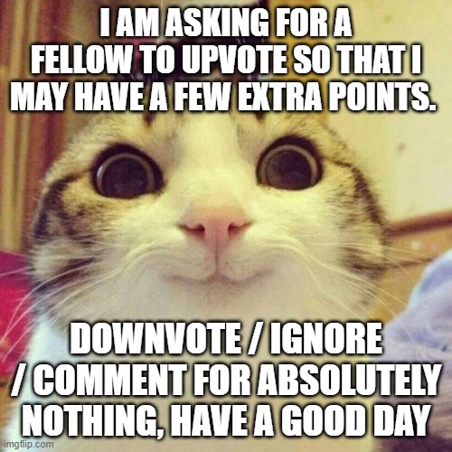 Wondered how many points I could get if I just asked instead. Have a good day, whoever you are. | I AM ASKING FOR A FELLOW TO UPVOTE SO THAT I MAY HAVE A FEW EXTRA POINTS. DOWNVOTE / IGNORE / COMMENT FOR ABSOLUTELY NOTHING, HAVE A GOOD DAY | image tagged in memes,smiling cat,asking for upvotes,holy crap im about to bust,upvote for nothing | made w/ Imgflip meme maker