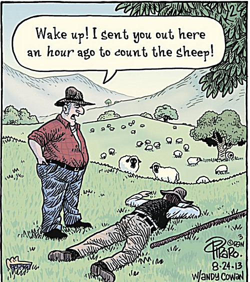 first day on the job | image tagged in memes,comics,fun,sheep | made w/ Imgflip meme maker