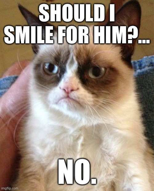 Grumpy Cat | SHOULD I SMILE FOR HIM?…; NO. | image tagged in memes,grumpy cat,cat,cats,funny memes,funny cats | made w/ Imgflip meme maker