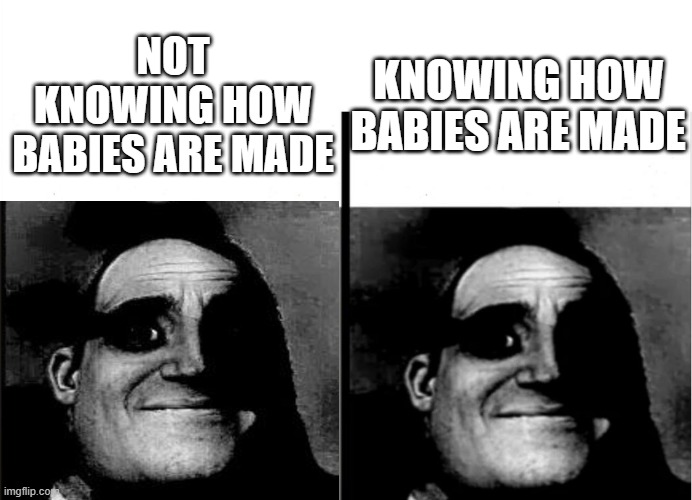 Teacher's Copy | KNOWING HOW BABIES ARE MADE; NOT KNOWING HOW BABIES ARE MADE | image tagged in teacher's copy | made w/ Imgflip meme maker