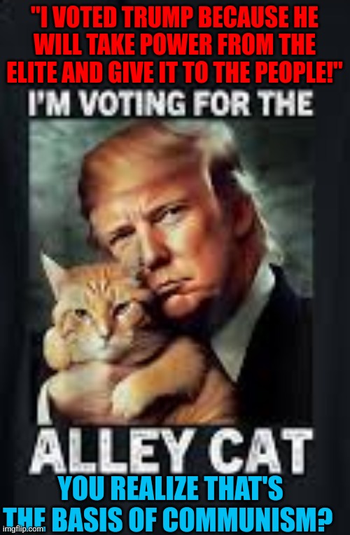 This #lolcat wonders why people want #communism | "I VOTED TRUMP BECAUSE HE WILL TAKE POWER FROM THE ELITE AND GIVE IT TO THE PEOPLE!"; YOU REALIZE THAT'S THE BASIS OF COMMUNISM? | image tagged in lolcat,communism,stupid people,trump supporters | made w/ Imgflip meme maker