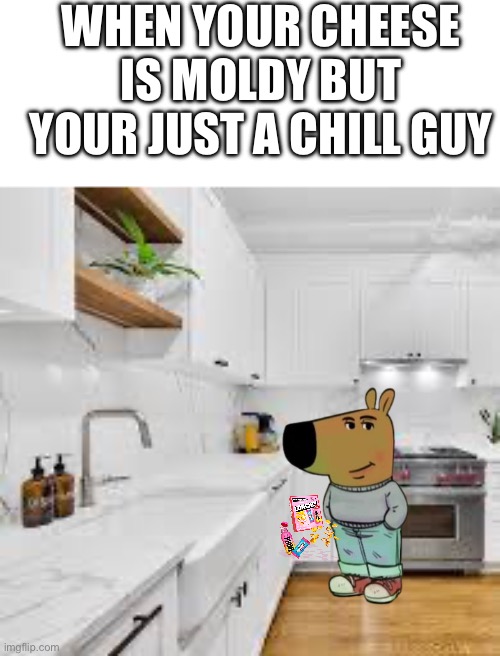 Chill guy | WHEN YOUR CHEESE IS MOLDY BUT YOUR JUST A CHILL GUY | image tagged in chill guy | made w/ Imgflip meme maker