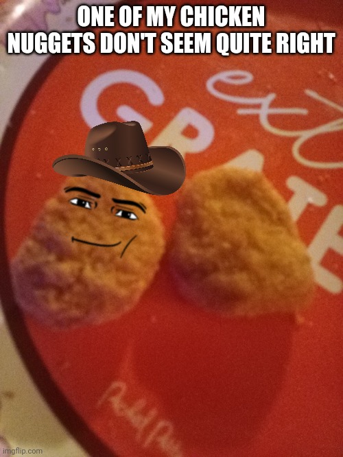 I'm concerned | ONE OF MY CHICKEN NUGGETS DON'T SEEM QUITE RIGHT | image tagged in ew brainrot | made w/ Imgflip meme maker